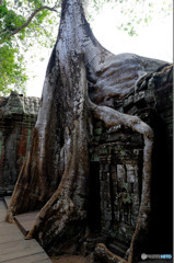 カンボジアの遺跡１４
