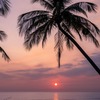 フーコックの夕日（（２）