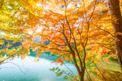 南伊奈ヶ湖の紅葉（２）
