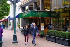 ビクトリア（９）