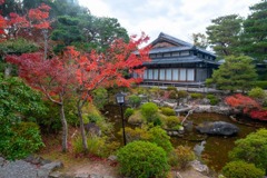 12月の奈良（１）