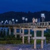蓬莱橋ぼんぼり祭り（４）