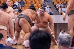 大相撲静岡場所（９）
