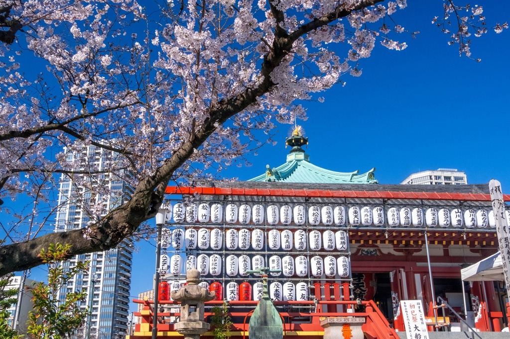 2020年東京の春（４）