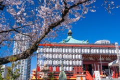 2020年東京の春（４）