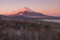 富士山の新年
