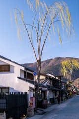 上田の春（18）
