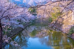 上田の春（８）