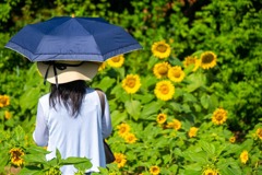 ハイジの村（５）