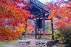 12月の奈良（69）