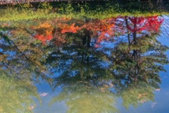秋の奈良（54）