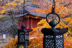 12月の奈良（66）