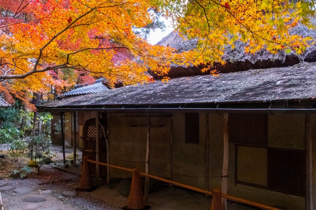 12月の奈良（15）
