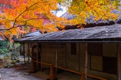 12月の奈良（15）