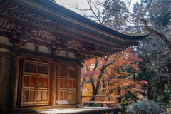 12月の奈良（34）