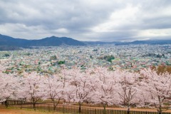 山梨の春（６）