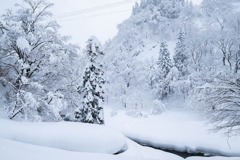 冬の清津狭（１）