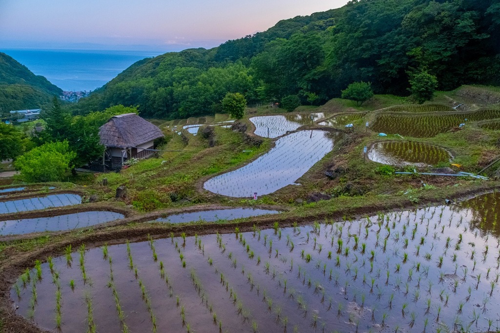 棚田の夜明け（１）