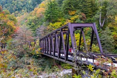 黒部トロッコ列車（８）