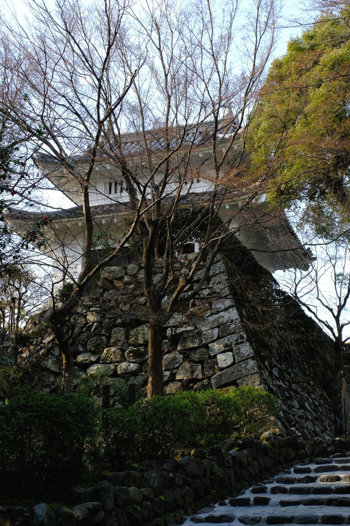 犬山城１