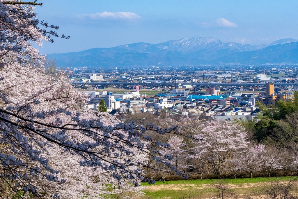 春の城山公園（３）