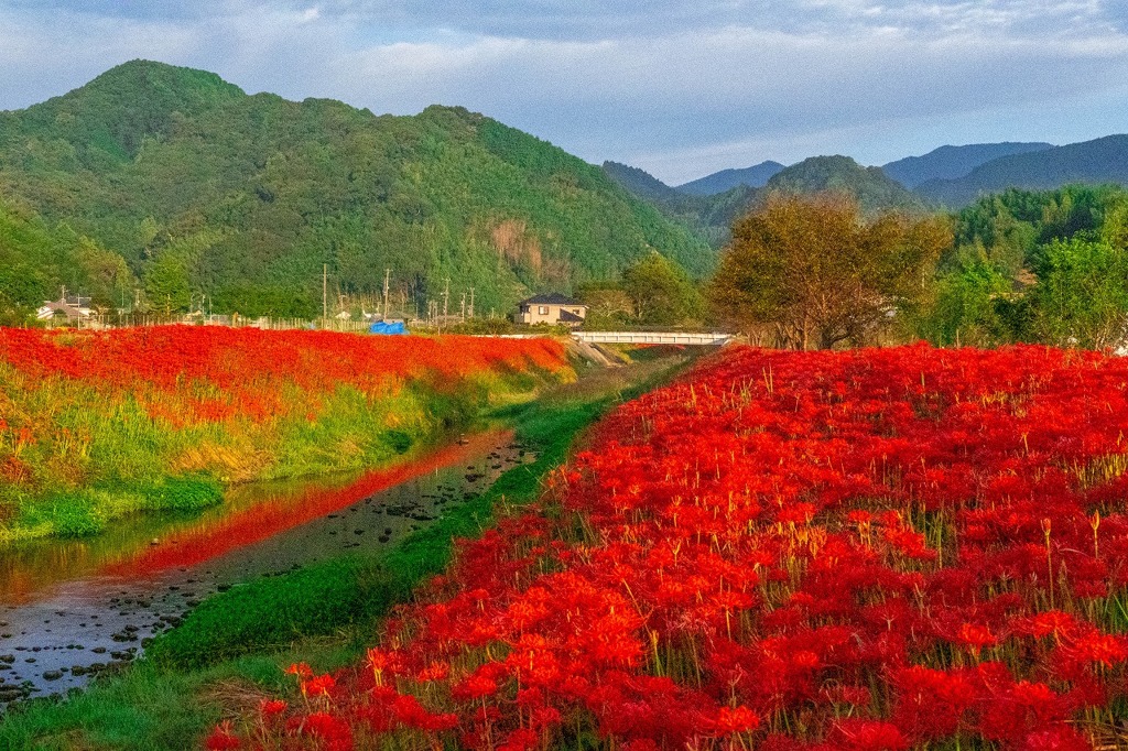 令和の彼岸（１）