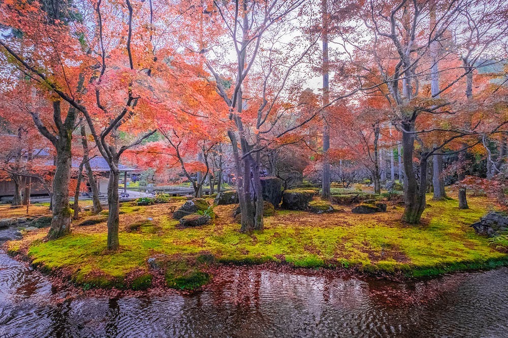 秋の京都（26）