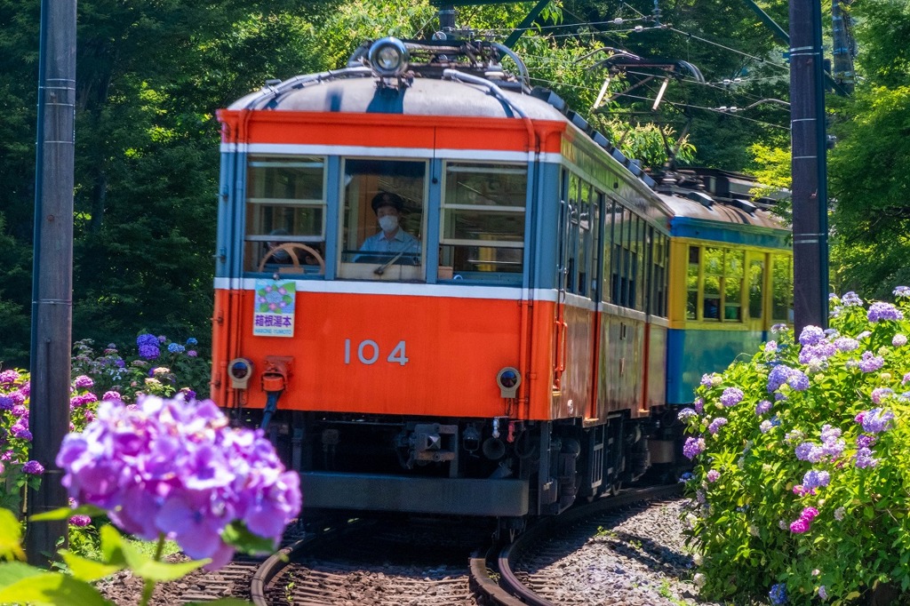 あじさい電車（１）