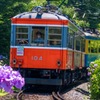 あじさい電車（１）