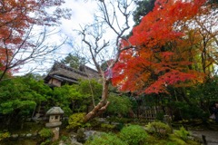 12月の奈良（２）