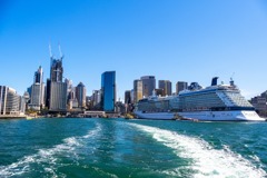 シドニー（24）