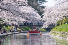 春の松川公園（８）