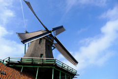 オランダ14