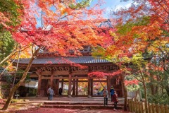 秋の永源寺（２）