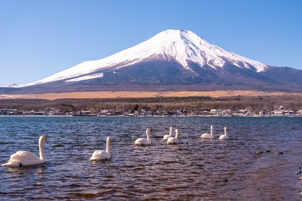 冬の山中湖（１）