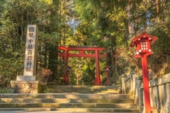 箱根神社（１）
