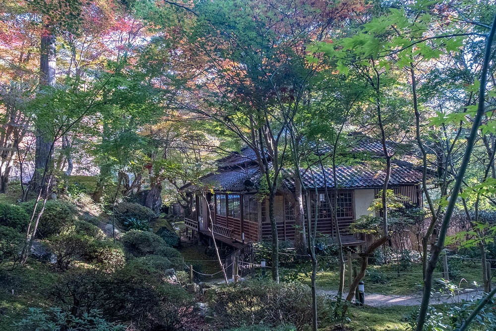 秋の教林坊（４）