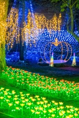 つま恋イルミネーション（７）