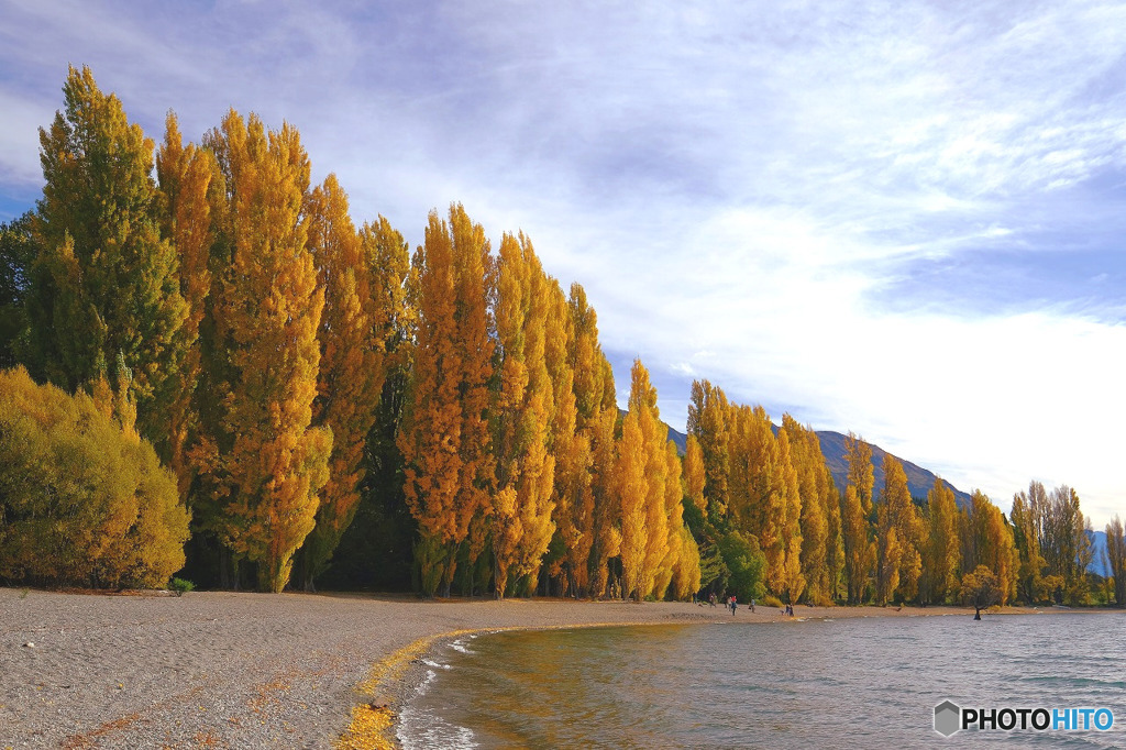 ワナカの黄葉４