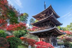 秋の湖南三山（10）