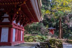 12月の奈良（51）