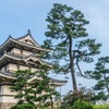 松本城（１）