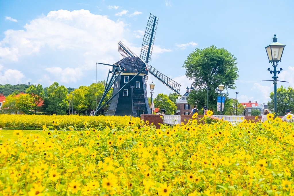 夏のハウステンボス（14）
