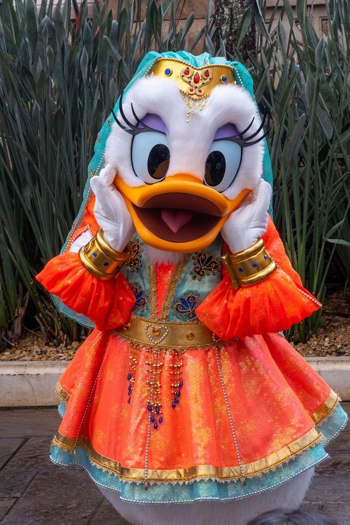 ディズニーシー（32）