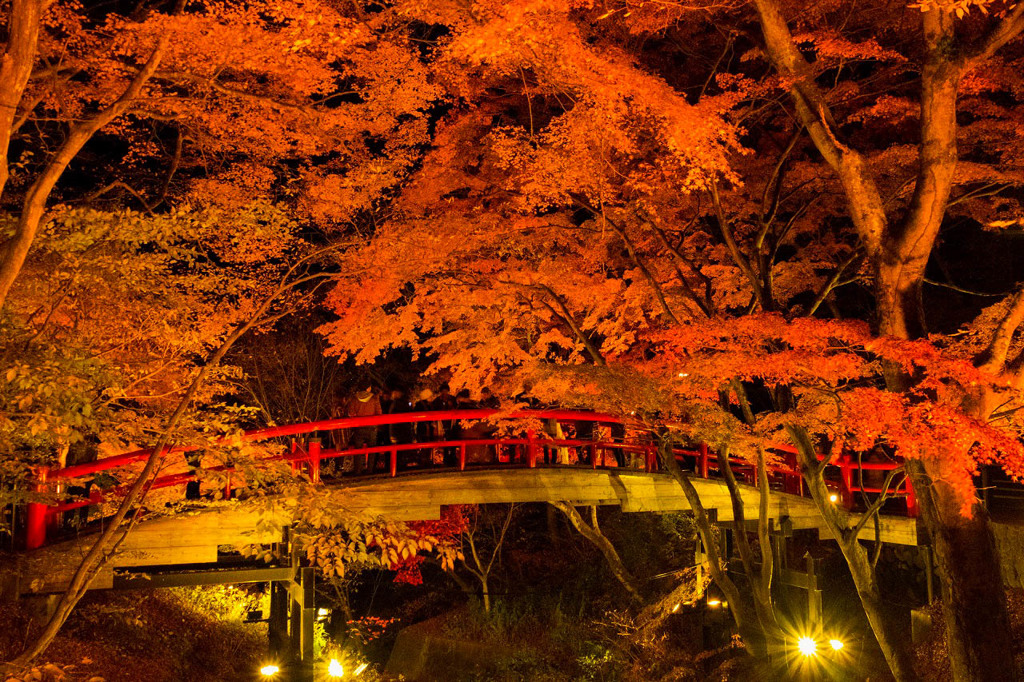 伊香保の紅葉（５）