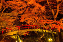 伊香保の紅葉（５）