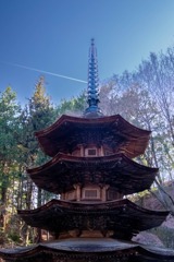 上田の春（30）
