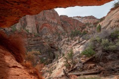 ザイオン国立公園（４）