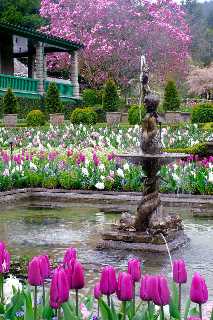 ビクトリア（23）