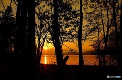 山中湖の夕日